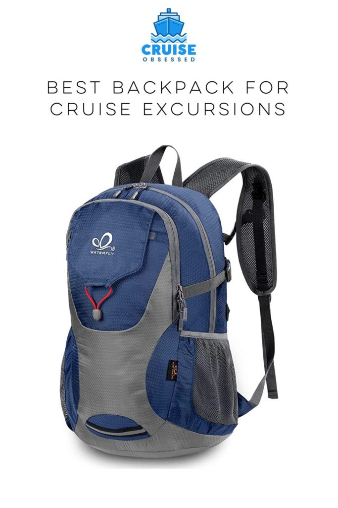 The Best Backpack for Cruise Excursions on cruiseobsessed.com.