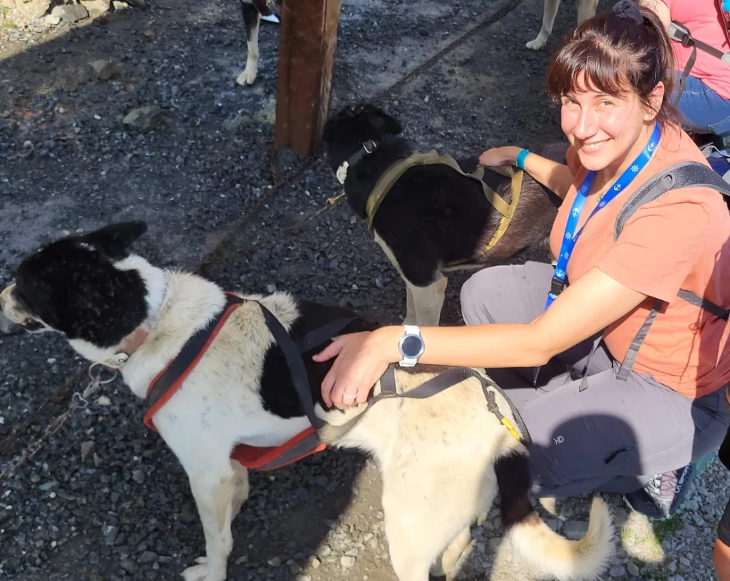 Petting sled dogs on a dog sledding cruise excursion in Juneau Alaska.